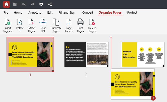 PDF Extra: organizer module page visualizer section